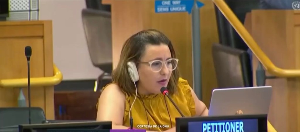 Aprueban en la ONU la 40a resolución que pide la autodeterminación para Puerto&nbsp;Rico